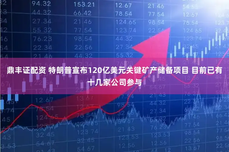 鼎丰证配资 特朗普宣布120亿美元关键矿产储备项目 目前已有十几家公司参与