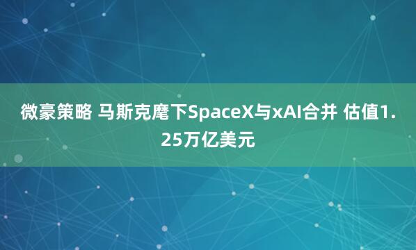 微豪策略 马斯克麾下SpaceX与xAI合并 估值1.25万亿美元