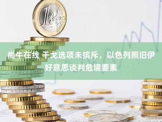 尚牛在线 干戈选项未摈斥，以色列照旧伊好意思谈判危境要素
