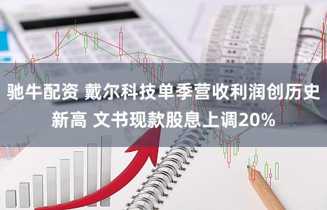 驰牛配资 戴尔科技单季营收利润创历史新高 文书现款股息上调20%