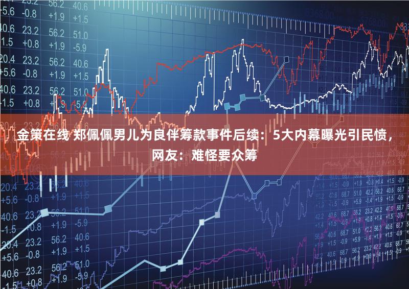 金策在线 郑佩佩男儿为良伴筹款事件后续：5大内幕曝光引民愤，网友：难怪要众筹