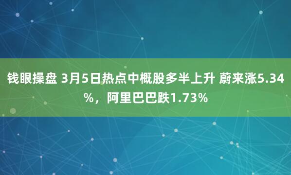 钱眼操盘 3月5日热点中概股多半上升 蔚来涨5.34%，阿里巴巴跌1.73%