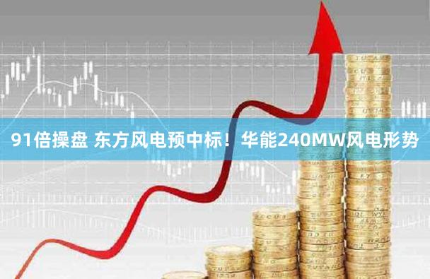 91倍操盘 东方风电预中标！华能240MW风电形势