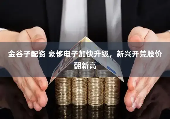 金谷子配资 豪侈电子加快升级，新兴开荒股价翻新高