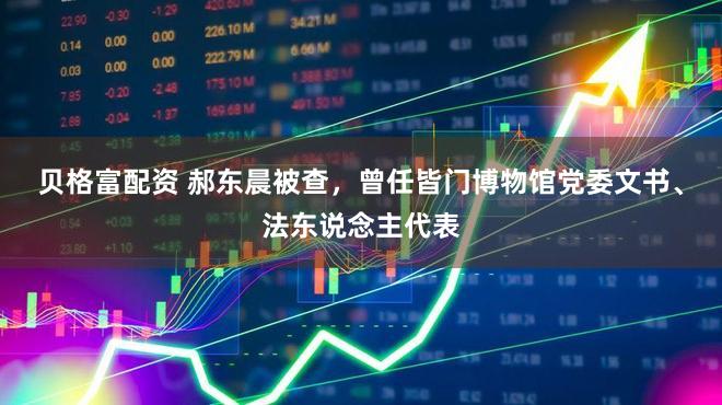 贝格富配资 郝东晨被查，曾任皆门博物馆党委文书、法东说念主代表