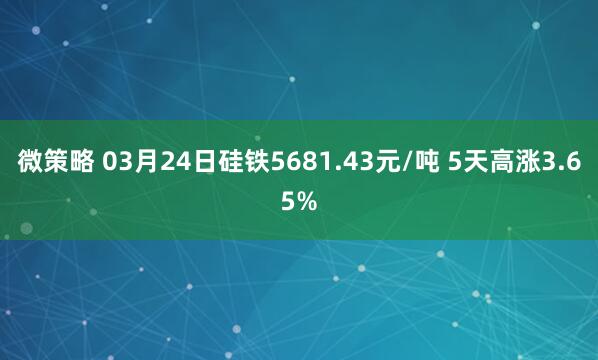 微策略 03月24日硅铁5681.43元/吨 5天高涨3.65%