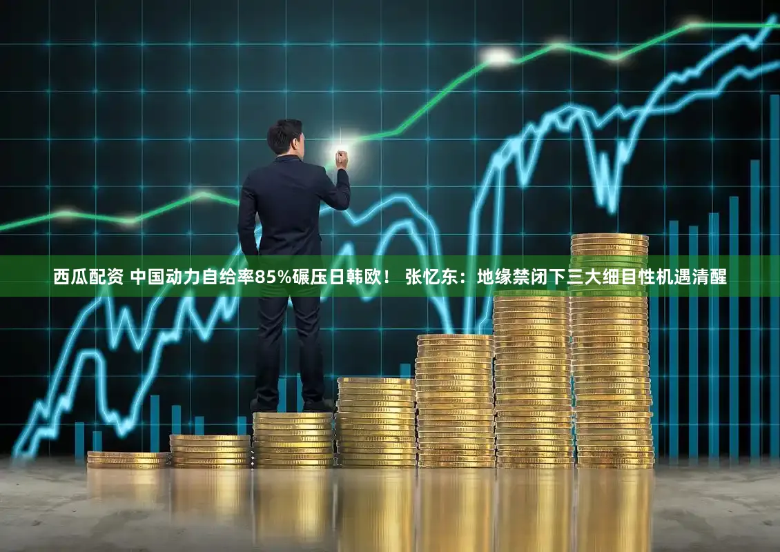 西瓜配资 中国动力自给率85%碾压日韩欧！ 张忆东：地缘禁闭下三大细目性机遇清醒