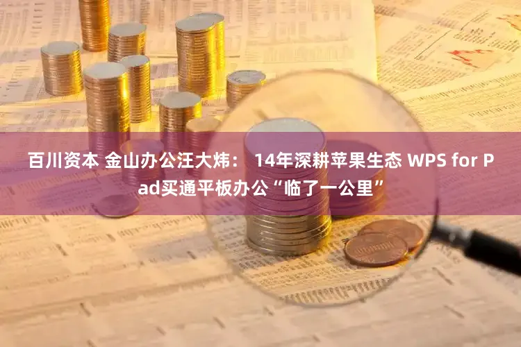 百川资本 金山办公汪大炜： 14年深耕苹果生态 WPS for Pad买通平板办公“临了一公里”