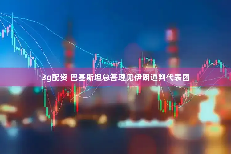 3g配资 巴基斯坦总答理见伊朗道判代表团