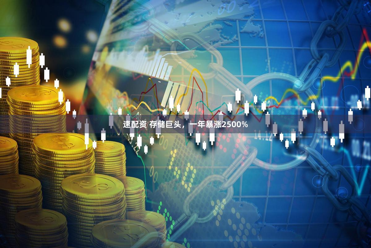 速配资 存储巨头,一年暴涨2500%