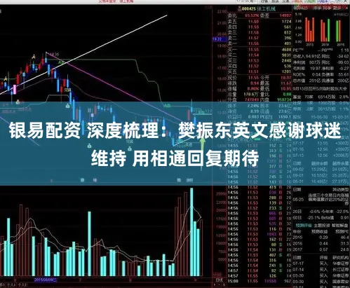 银易配资 深度梳理：樊振东英文感谢球迷维持 用相通回复期待