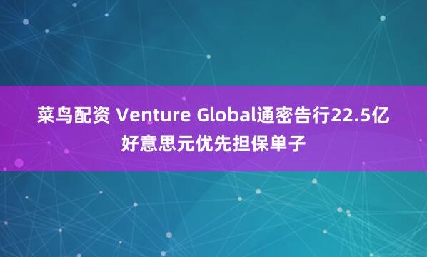 菜鸟配资 Venture Global通密告行22.5亿好意思元优先担保单子